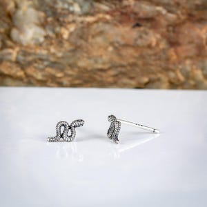 May include: A pair of silver-colored snake stud earrings. The earrings are detailed with a textured pattern, and one is shown with the post. The earrings are on a white surface with a blurred brown and tan background.