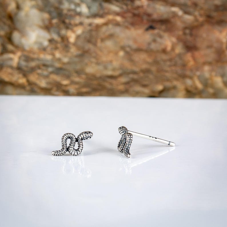 May include: A pair of silver-colored snake stud earrings. The earrings are detailed with a textured pattern, and one is shown with the post. The earrings are on a white surface with a blurred brown and tan background.