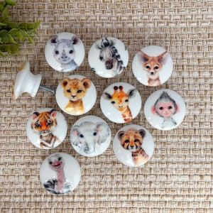 Safari Nursery Knobs: Gender Neutral Jungle Animals Drawer Pulls