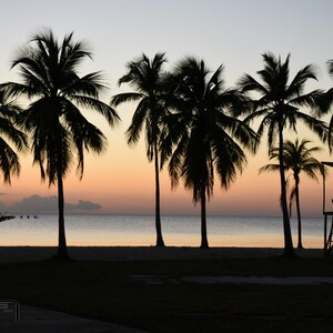 Może przedstawiać: Sylwetki palm na plaży o zachodzie słońca. Niebo jest w delikatnym kolorze pomarańczowym i różowym, a woda jest spokojna i błękitna. W pierwszym planie znajduje się drewniany stojak ratownika.