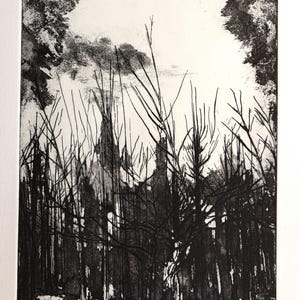Original mezzotint print,Hand-printed Etching, Aquatint print making,Intaglio print