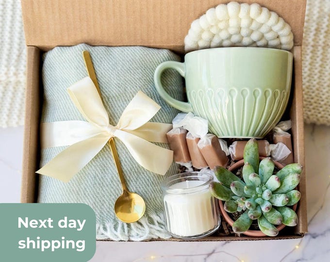 Hygge Gift Box, Self-Care Package for Her, Succulent Gift, Plant Gift Box, Mom Gift, Thinking of You, Birthday Gift, Relaxation Box