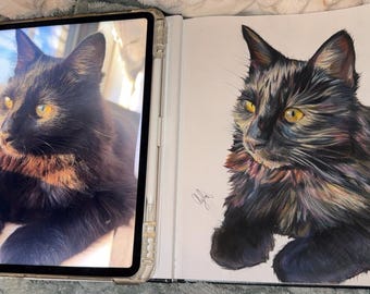 Colored Pencil Pet Portrait