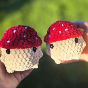 May include: Two handmade crochet mushroom figures. Each mushroom has a red cap with white spots and a beige stem. The mushrooms have black button eyes. The background is a blurred green.