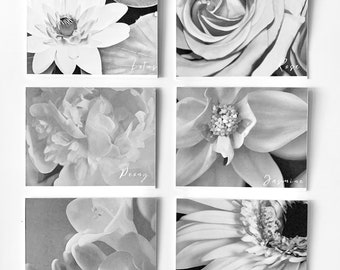 Flower Note Cards Black and White Set of 6 Note Blank Note Cards With Matching Envelopes