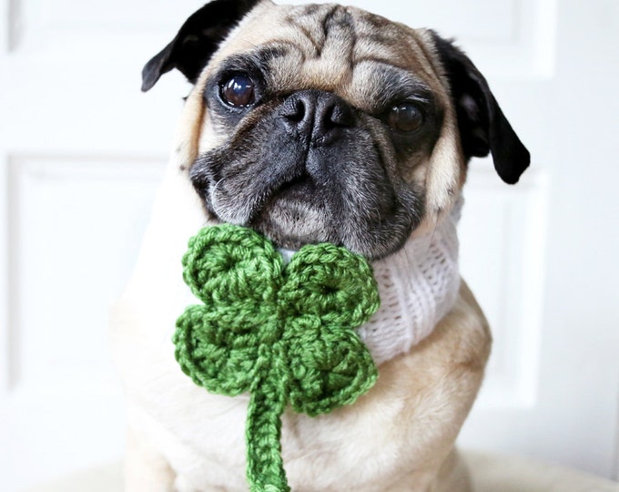 Lucky Clover Knit Dog Collar Dog Scarf Dog Neck Warmer Etsy