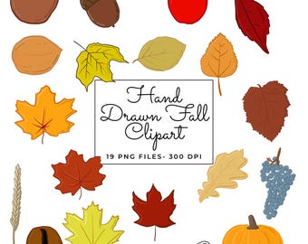 Hand Drawn Fall Clipart | 19 pieces of Clipart | Transparent Background | 300 DPI