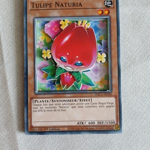 Yu-Gi-Oh Tulipe Naturia carte Shadowbox