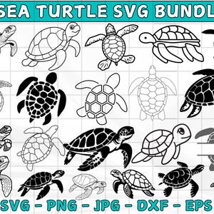 Sea Turtle svg Bundle, Tortoise svg, Sea Turtle Clipart, Turtle Cricut File, Sea Turtle Cut File, Floral Turtle svg, Instant Download