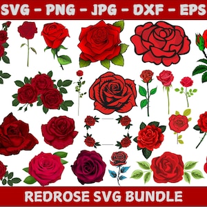 Red rose clipart | Red rose Svg | Rose svg bundle | Red rose Png | Bouquet Svg | Flowers svg bundle | Roses template svg | Rose Svg designs
