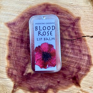 Puede incluir: Un bálsamo labial Blood Rose en una lata plateada con una ilustración de rosa roja. La lata está etiquetada "Medicine Gardens Blood Rose Lip Balm".