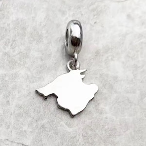 Puede incluir: Un colgante de plata con forma de isla. El dije tiene un lazo en la parte superior para sujetarlo a una pulsera o collar. El colgante está hecho de metal brillante y pulido y está suspendido de un lazo plateado.