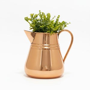 Pode incluir: Um jarro cor de cobre com uma alça curva e um bico, cheio de plantas verdes com folhas. O jarro tem uma superfície brilhante e reflexiva e fica em um fundo branco. O design é simples e elegante, adequado para decoração de casa.