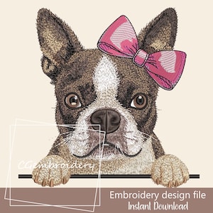 Boston Terrier Embroidery Design, Cute Boston Terrier Dog Girl Embroidery File Boston Terrier Mom, Terrier Dog Pet Owner Machine Embroidery