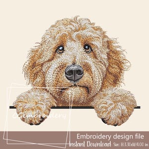 May include: An embroidery design file featuring a detailed illustration of a golden doodle dog. The dog's head and paws are visible, with a black nose and expressive eyes. The text "Embroidery design file Instant Download" is included. Size: H:8.38xW:10.16 cm.