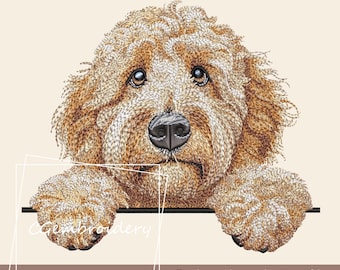 Goldendoodle broderidesign, söt Golden Doodle hundbroderifil Labradoodle Cockapoo Golden Doodle husdjur hundälskare maskinbroderi