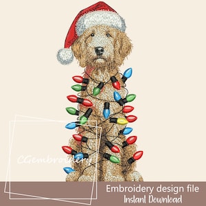 Puede incluir: Un perro marrón y blanco con un gorro de Papá Noel rojo está enredado en una cadena de luces navideñas de colores. El perro está sentado y mirando al espectador.