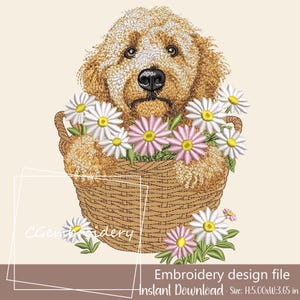 Può includere: Un file di ricamo con un cane golden doodle in un cesto di vimini pieno di margherite bianche e rosa. Il cane ha un mantello marrone e beige e un naso nero. Il testo "Embroidery design file" e "Instant Download" sono inclusi. Dimensioni: H:12,70cm x L:9,27cm.