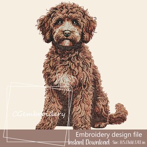May include: An embroidery design file showing a brown dog with curly fur, sitting and facing forward. The image includes the text "CGembroidery" and "Embroidery design file - Size: H:12.7cm x W:8.7cm". The dog has a white patch on its chest.