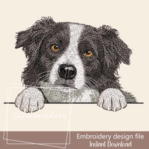 Puede incluir: Un archivo de diseño de bordado con un perro Border Collie con pelaje blanco y negro, ojos marrones y nariz negra. El perro está mirando por encima de una superficie blanca. El texto en la parte inferior dice "Archivo de diseño de bordado Descarga instantánea".