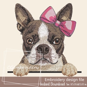 Boston Terrier Embroidery Design, Cute Boston Terrier Dog Girl Embroidery File Boston Terrier Mom, Terrier Dog Pet Owner Machine Embroidery