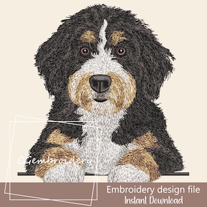 Può includere: Disegno ricamato di un cucciolo di Bernedoodle con pelo nero, marrone e bianco. Il cucciolo guarda la telecamera con le zampe appoggiate su una superficie. Il testo "Embroidery design file Instant Download" è sotto l'immagine.