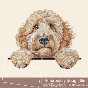 Könnte beinhalten: Ein Stickdesign-Datei mit einer detaillierten Illustration eines Goldendoodle-Hundes. Der Hund hat braunes Fell, eine schwarze Nase und blickt über eine schwarze Linie. Der Text lautet "Embroidery design file - Instant Download - Größe: H:12,75cm x B:15,49cm."