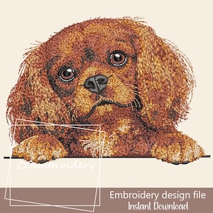 May include: An embroidery design file featuring a detailed, realistic depiction of a Cavalier King Charles Spaniel dog. The dog has brown and tan fur, with large, expressive eyes. Text reads "Embroidery design file Instant Download".
