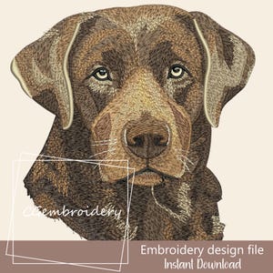 Könnte beinhalten: Stickdatei mit der Darstellung des Kopfes eines braunen Labrador Retrievers. Der Hund blickt den Betrachter mit einem ernsten Ausdruck direkt an. Das Design ist perfekt für Stickprojekte.
