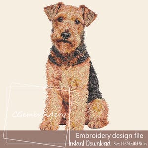 Puede incluir: Un archivo de diseño de bordado que muestra un Airedale Terrier sentado con pelaje marrón y negro. El perro tiene ojos oscuros y nariz negra. El texto CGembroidery es visible a la izquierda. El diseño mide H:8,89 cm por A:4,75 cm.