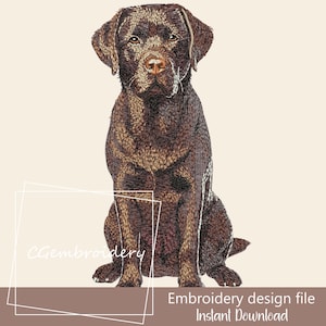 May include: Embroidery design file of a brown Labrador Retriever sitting with its ears perked up. Instant Download is written below the dog.