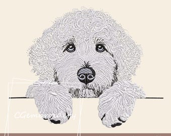 Goldendoodle broderidesign, söt Golden Doodle hundbroderifil Labradoodle Cockapoo Golden Doodle husdjur hundälskare maskinbroderi