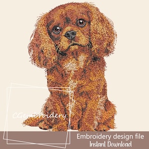 以下が含まれることがあります： 茶色とオレンジ色のキャバリア・キング・チャールズ・スパニエルの犬の刺繍デザインファイル。犬は座って悲しそうな表情で前を見ています。「Embroidery design file Instant Download」の文字が下にあります。