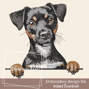 Disegno da ricamo Jack Russell Terrier, file da ricamo per simpatico cane Jack Russell, ricamo a macchina per amanti dei cani Terrier, cane Terrier con picco