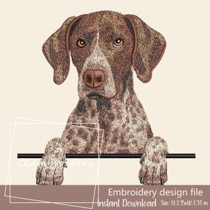 以下が含まれることがあります： ジャーマン・ショートヘアード・ポインター犬の詳細なイラストが描かれた刺繍デザインファイル。犬は茶色と白の毛皮で、「Embroidery design file Instant Download - Size: H:10.03xW:9.98 cm」の文字があります。