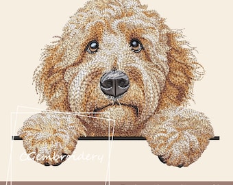 Goldendoodle broderidesign, söt Golden Doodle hundbroderifil Labradoodle Cockapoo Golden Doodle husdjur hundälskare maskinbroderi