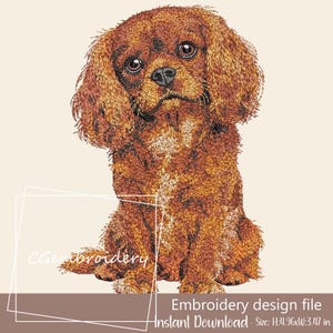May include: An embroidery design file featuring a detailed illustration of a Cavalier King Charles Spaniel dog in shades of brown and tan. The dog is sitting and looking forward. The text "Embroidery design file" and "Instant Download" are included. Size: H:4.96xW:3.47 in.