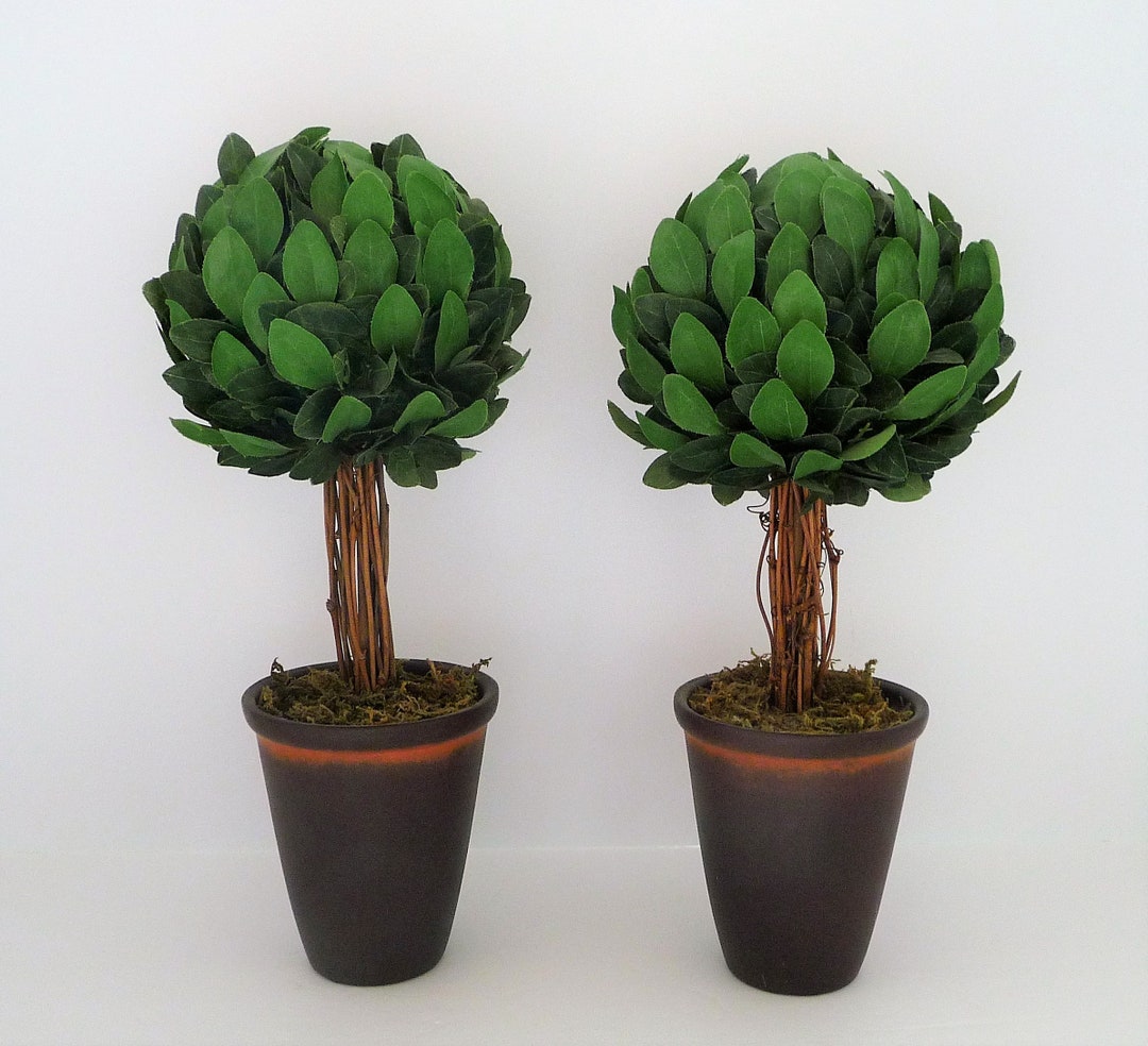 2 Tabletop Topiaries Artificial Laurel Leaf 13 Tall Etsy