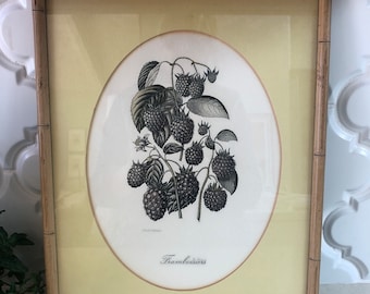 G. Severeyns Hand Colored Lithograph 19th Century Framboisiers Raspberry Framed