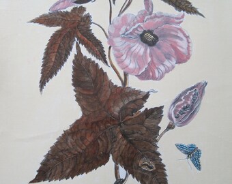 Botanical by Maria Sibylla Merian Hand Colored in Italy on Canvas Ktemia Aegyptiaca