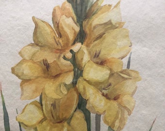 Original Watercolor by Early California Artist Alice M Chew aka Alice M Hatch Floral Circa 1920s Yellow Gladiolus