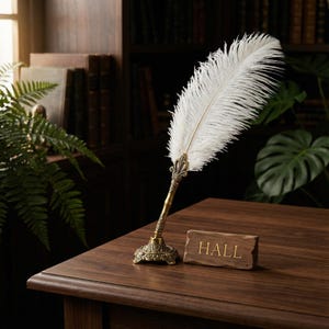 Vintage Feather Quill Pen Set – Calligraphy Writing, Luxury Gift Box - Etsy