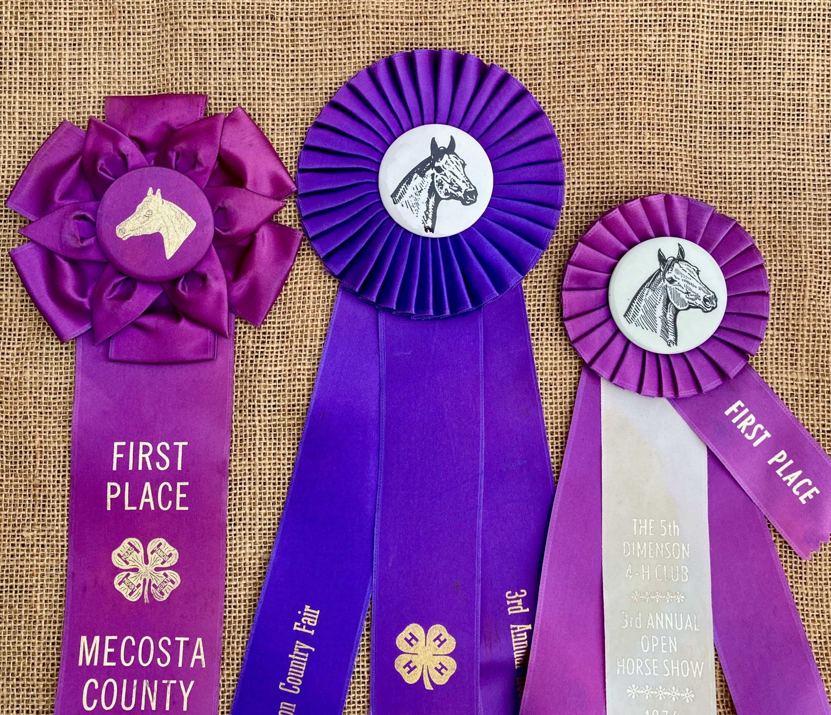 Fair Ribbons And Rosettes
