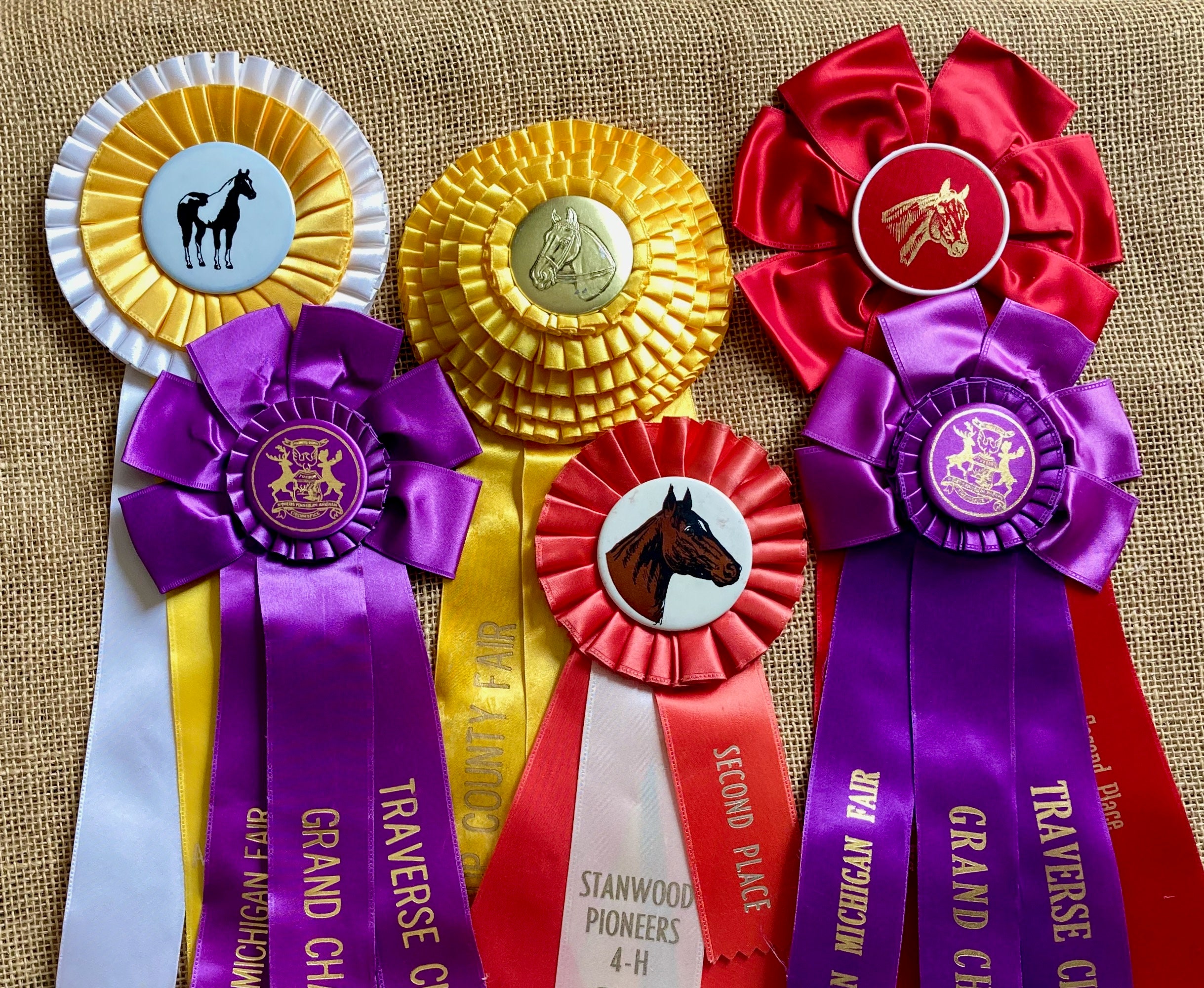Fair Ribbons And Rosettes