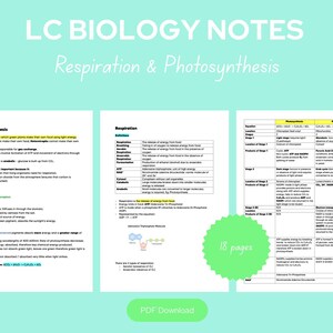 Cert Biology Atmung und Photosynthesity Notes verlassen