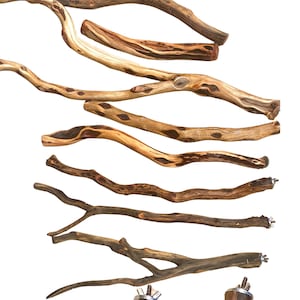 Manzanita Holz Multi Zweig Vogel Sitzstange | Natürliche Papageienstangen | Vogelhaus Dekor | Vogelkäfig Dekor