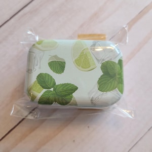 Needle case, magnetic needle box, needle tin, travel needle holder, storage for needles, embroidery, sewing, cross stitch, retreat gift.