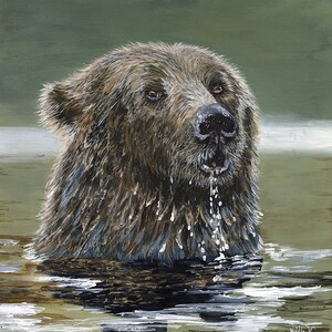 Bearly Wet - Canvas Print of Original Acrylic Bear Painting