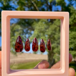 May include: A set of five artificial nails with a tortoiseshell design, displayed in a light pink square frame. The nails are almond-shaped with a glossy finish, showcasing a blend of brown and amber hues. The frame is held against a blurred green background.
