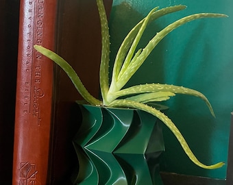 Nature Inspired Planter Pot: Thorn Design - Home Decor